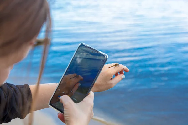 A girl photographs a dragonfly on the phone against the background of the sea close-up