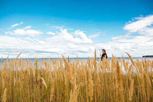 Vacker Flicka Ett Fält Stranden Havet Och Blå Himmel Med — Stockfoto