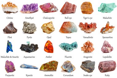Beyaz arka planda güzel bir jeolojik mineral koleksiyonu.