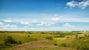 Tepelerde güzel bir çayır çimen ve çiçeklerle denizin arka planına ve gökyüzüne yakın.