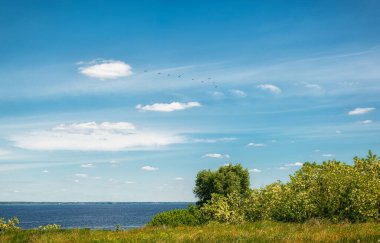 Tepelerde güzel bir çayır çimen ve çiçeklerle denizin arka planına ve gökyüzüne yakın.