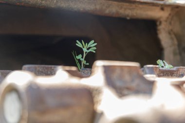 Fabrika, Ukrayna 'daki yanmış askeri teçhizatlardan yetişiyor.