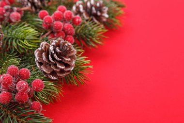 Kırmızı arka planda konileri olan Noel ağacı dalları