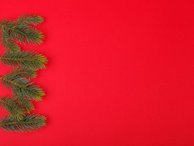 Kırmızı arka planda konileri olan Noel ağacı dalları