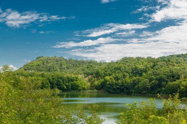 Yazın güzel göl, ormanın ortasında, mavi gökyüzüne karşı.