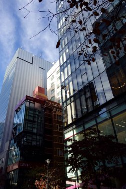 Tokyo Ginza, Japonya 'nın en renkli ve modaya uygun bir inşaat bölgesi.