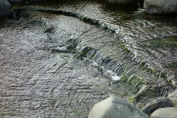 Murmuração Pedras Córrego Parque Margem Rio Uma Taiga — Fotografia de Stock