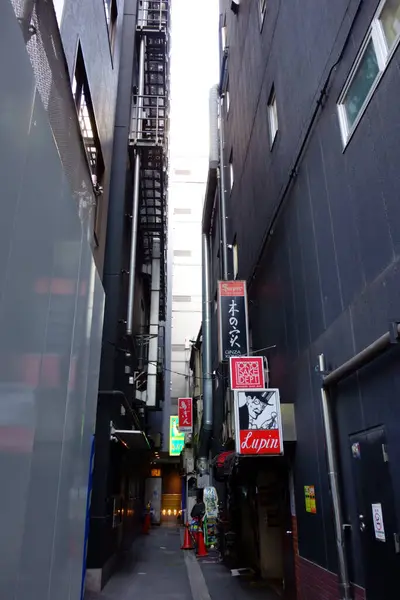 Tokyo Ginza Die Urbanste Gegend Japans Ein Buntes Und Modisches — Stockfoto