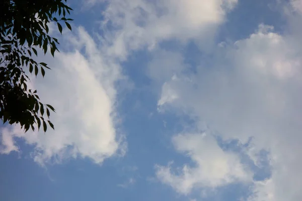 Midsummer Season Weather Early Autumn Sea Clouds Shining Sky — Fotografia de Stock