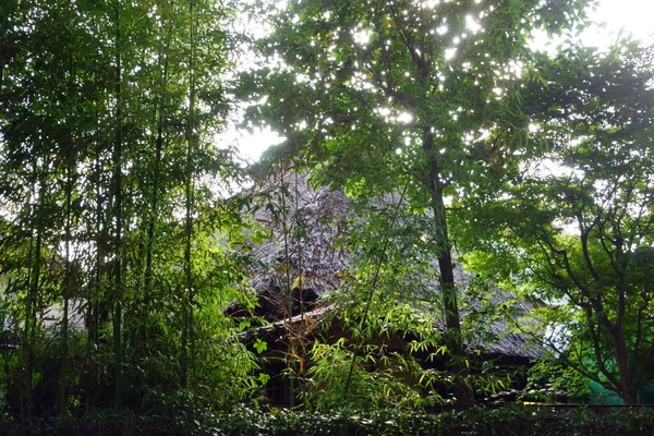 Sebuah Pedesaan Kuno Atap Jerami Adegan — Stok Foto