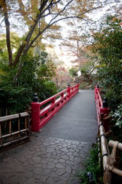Geniş bir alanda bahçe desenleri, ağaçlar ve göletler olan güzel bir sonbahar manzarası.