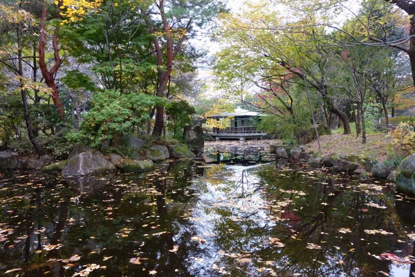 Vattennära Skogspark Vackert Höstlandskap Med Träd Och Löv Med Dammar — Stockfoto