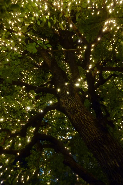 Piękne Iluminacje Nowoczesne Światła Dekoracje Choinkowe — Zdjęcie stockowe