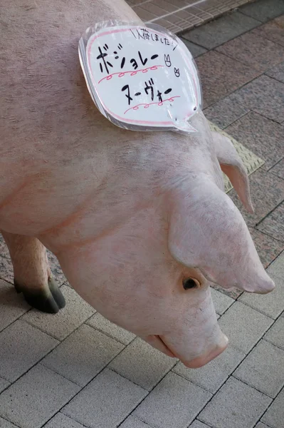 Pattern Attracting Customers Restaurants Pig Object Motif — Zdjęcie stockowe