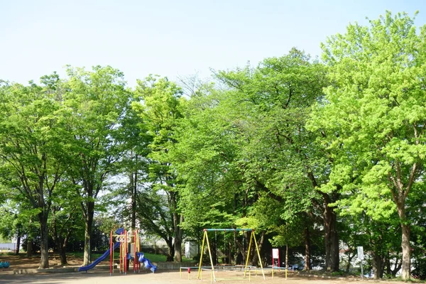 Kaoru Shinryoku Pleasant Weather Early Summer Makes Green Park Pleasant — Stockfoto