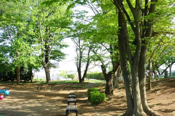 Kaoru Shinryoku Pleasant Weather Early Summer Makes Green Park Pleasant — Fotografia de Stock