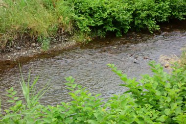 The murmuring of a brook that calls for a cool breeze, the green leaves on both banks