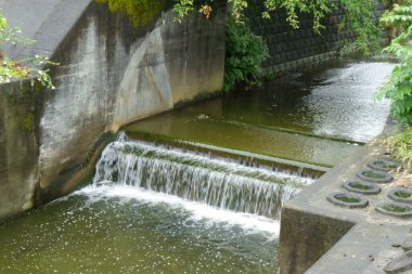 Hoş akış kalıpları, manzaralı bir parkta güzel şelaleler.