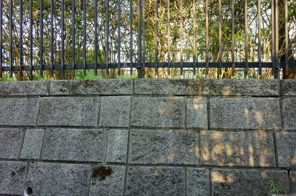 緑の葉石の壁と公園着陸のフェンスは 森に覆われています — ストック写真