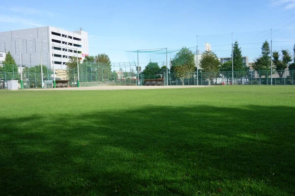 Refreshing Midsummer Green Lawn Blue Sky Field — стоковое фото