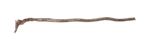 魔法の杖白い背景に隔離された長老の杖 — ストック写真