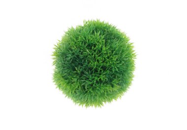 Akvaryum dekorasyonu, beyaz izole arkaplan