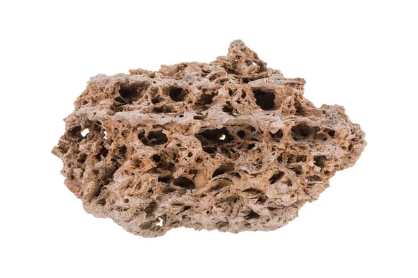 Akvaryum dekorasyonu, beyaz izole arkaplan