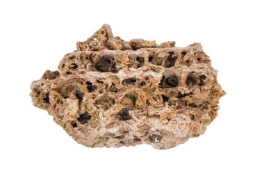 Akvaryum dekorasyonları beyaz arka planda, akvaryum aksesuarlarında izole edilmiş.