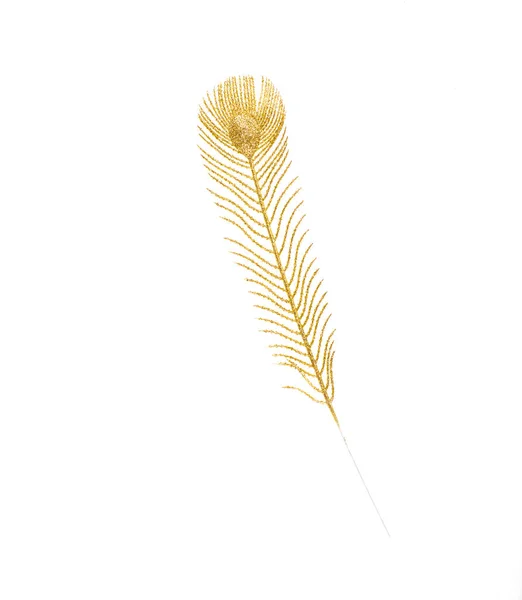 Golden Feather Isolated White Background — Stock Photo, Image