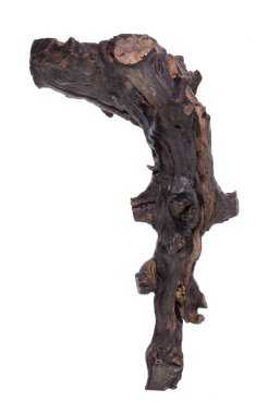 Eski bir kulüp, tahta sopa, beyaz arka planda taş devri sandığı.