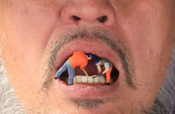Маленькая Модель Чистки Зубов Рабочих — стоковое фото