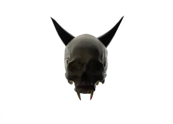 Vampir Menschlicher Schädel Mit Hörnern Isoliert Auf Weißem Hintergrund — Stockfoto