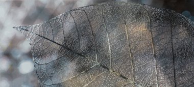 Mutfak için çiçek desenli mermer döşeme.