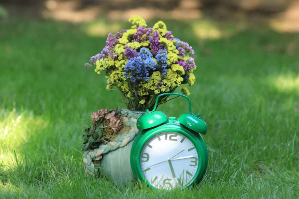 Букет Диких Цветов Будильник Траве — стоковое фото