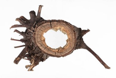 Beyaz arkaplanda izole dalları olan eski kütük