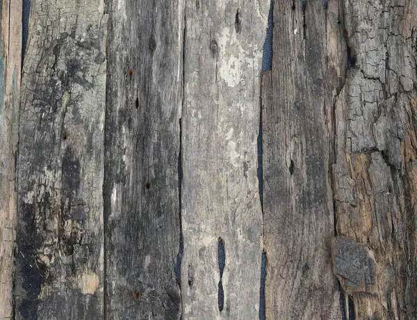 Gray Rotten Wood Plank Wood Background — Stock Photo, Image