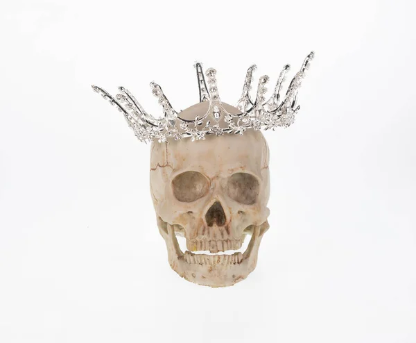 Schädel Mit Krone Isoliert Auf Weißem Hintergrund — Stockfoto