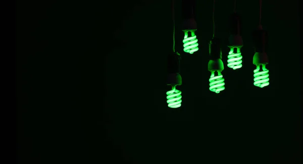 Енергозберігаючі Зелені Лампочки Ізольовані Зеленому Фоні — стокове фото