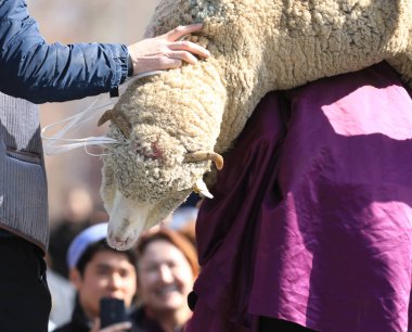 Fedakârlık Şöleni için Hayvan. Müslüman Bayrami Bayrami