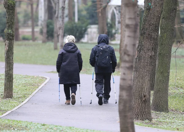 Zwei Alte Männer Mit Gehstöcken Park — Stockfoto