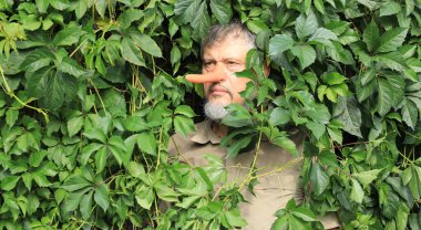 Uzun burunlu adam yaprakların arasında saklanıyor.