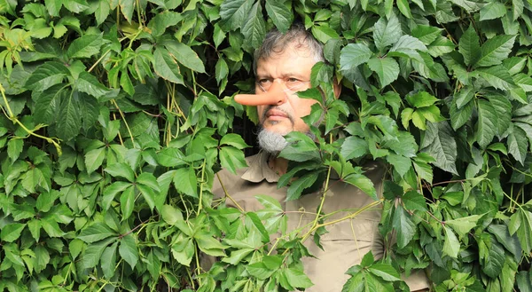 Uzun burunlu adam yaprakların arasında saklanıyor.