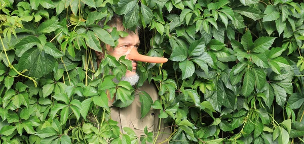 Man Met Een Lange Neus Verstopt Zich Bladeren — Stockfoto