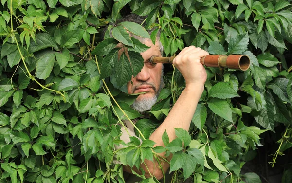 Mann Mit Spionaglas Versteckt Sich Den Blättern — Stockfoto