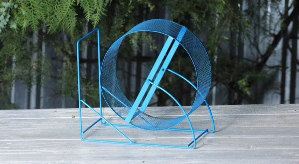 Blaues Laufrad Für Tiere Auf Dem Tisch — Stockfoto