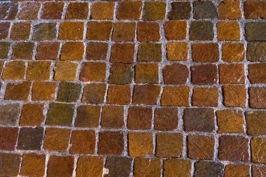 Kırmızı taş küplerden ıslak yol kaldırımı