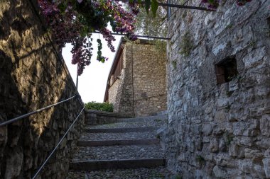 Gargnano 'da Garda Gölü' ndeki limon serasına giden merdiven mavi buganvillelerle kaplanmış.