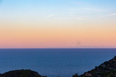 Gün batımında kuş sürüsü Elba sahillerinde denizin üzerinde