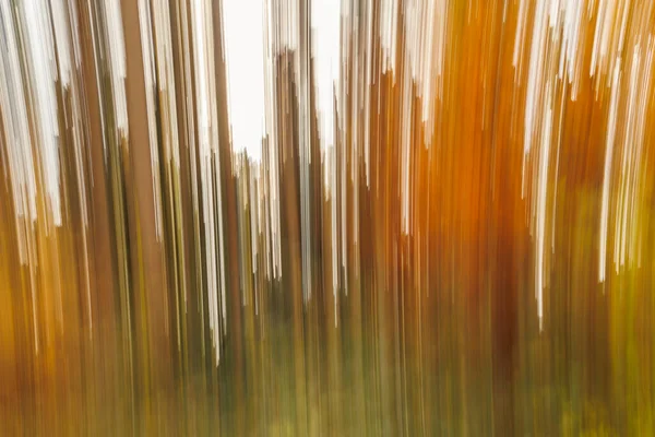 Zamazany Liść Pokryty Ścieżką Leśną Słoneczny Jesienny Dzień Rozmyciem Ruchu — Zdjęcie stockowe