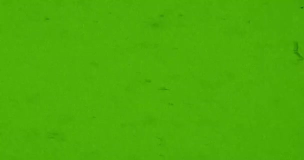 Abstrakcyjna Zmiana Materiału Zielonym Szarym Tle — Wideo stockowe